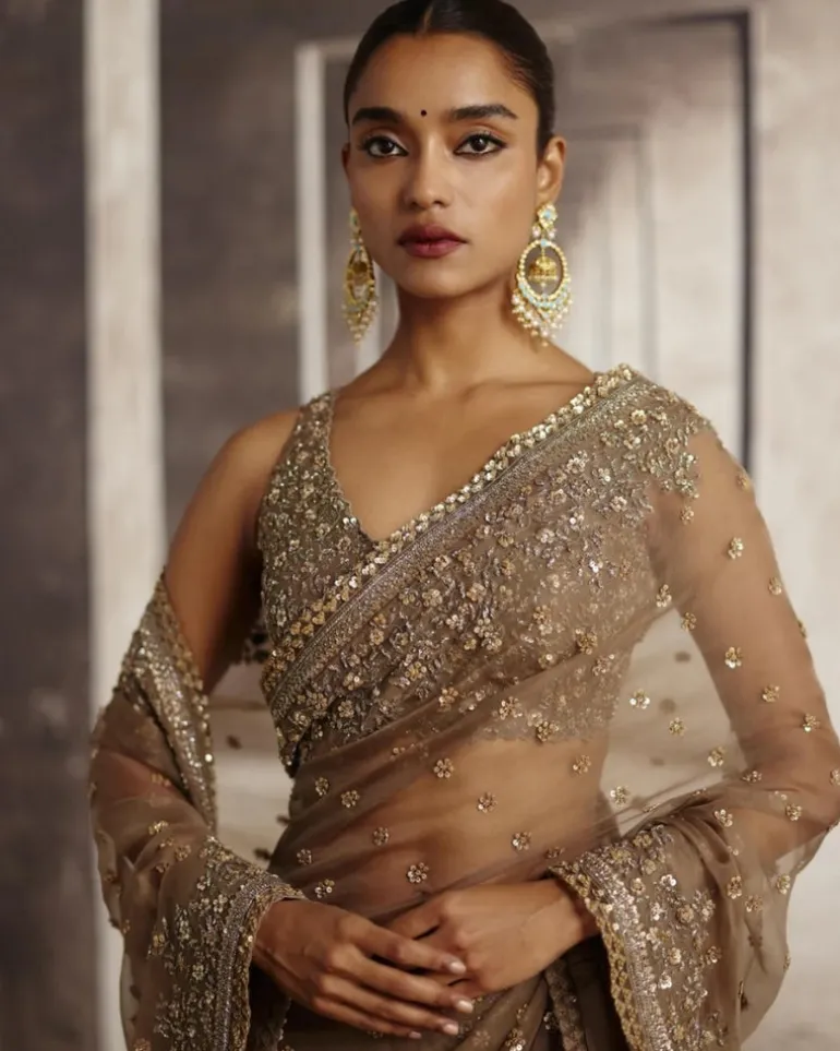 Organza Sari With Sequin & Cutdana Embroidery