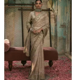 Organza With Dabka Booti Sari Set
