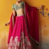 Paaro Lehenga Set