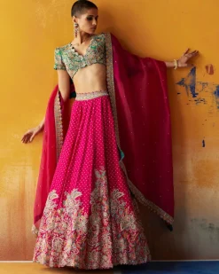 Paaro Lehenga Set