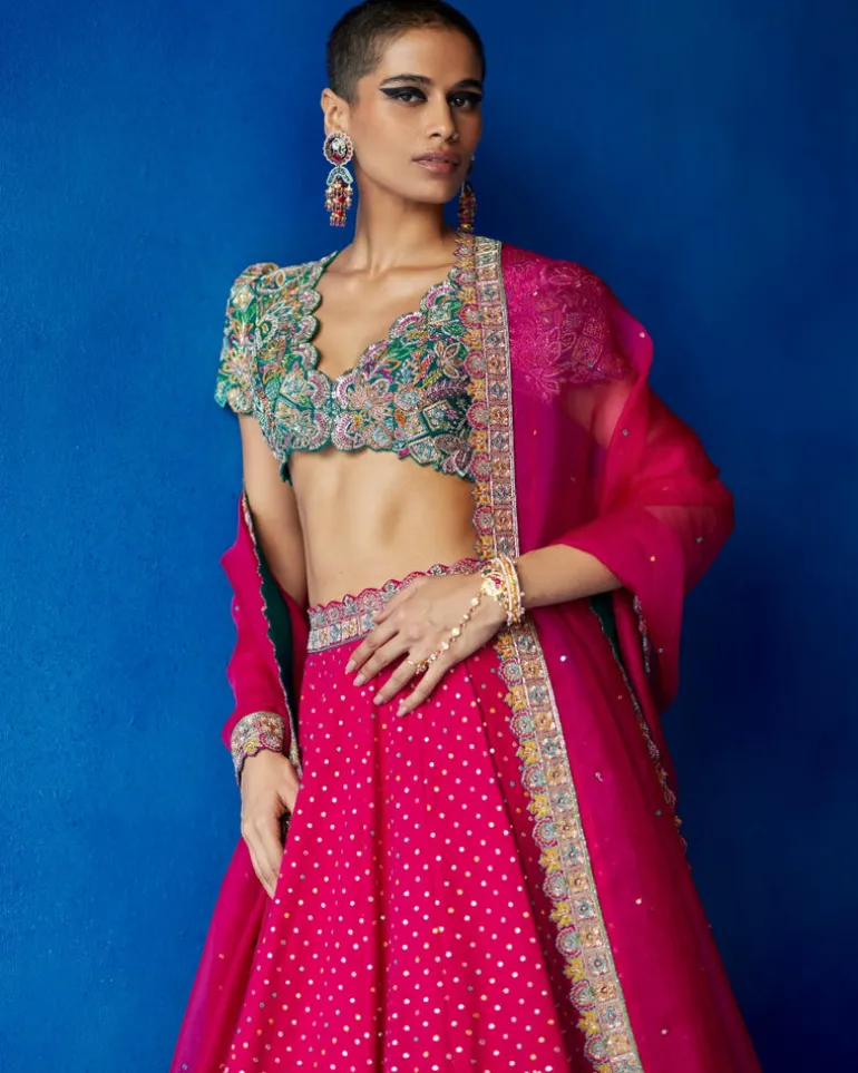 Paaro Lehenga Set