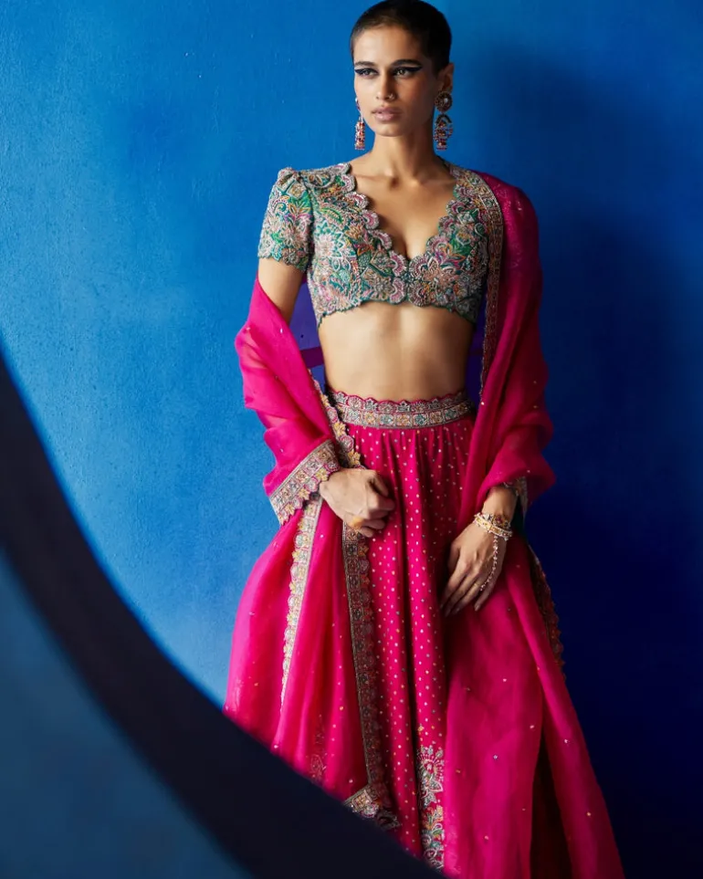 Paaro Lehenga Set