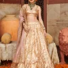 Padmasvarna Lampi Lehenga Set
