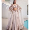 Paisley Dream Chikankari Lehenga Set