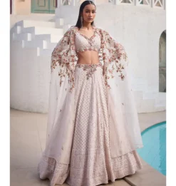Paisley Dream Chikankari Lehenga Set