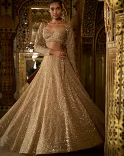 Palace Of Dreams Gold Sequin Lehenga Set