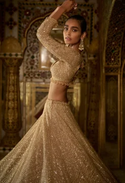 Palace Of Dreams Gold Sequin Lehenga Set