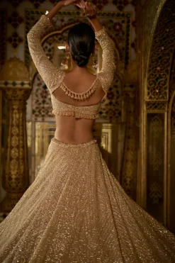 Palace Of Dreams Gold Sequin Lehenga Set