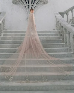 Pale Blush Gown
