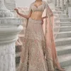 Pale Blush Pearl Embroidered Lehenga Set
