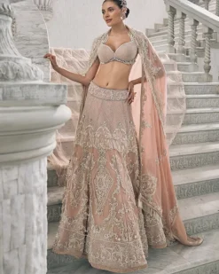 Pale Blush Pearl Embroidered Lehenga Set