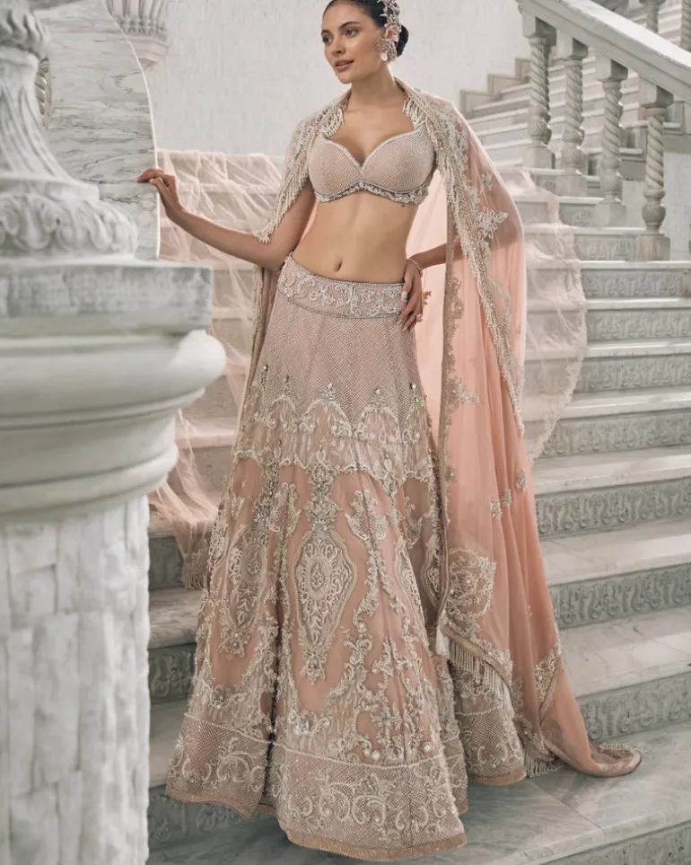 Pale Blush Pearl Embroidered Lehenga Set
