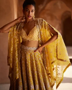 Paramita Lehenga Set