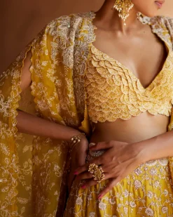 Paramita Lehenga Set