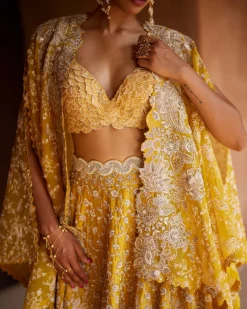 Paramita Lehenga Set