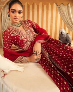 Pareesa Anarkali Set