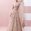 Peach Lace 3D Appliques Tie Up Lehenga Set