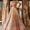 Peach Multicolor Lehenga Set