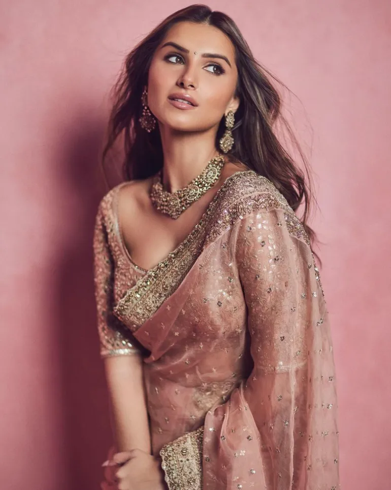 Peach Organza Sari