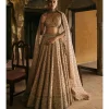 Peach Panels Lehenga Set