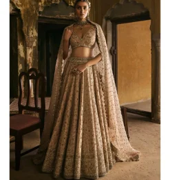 Peach Panels Lehenga Set