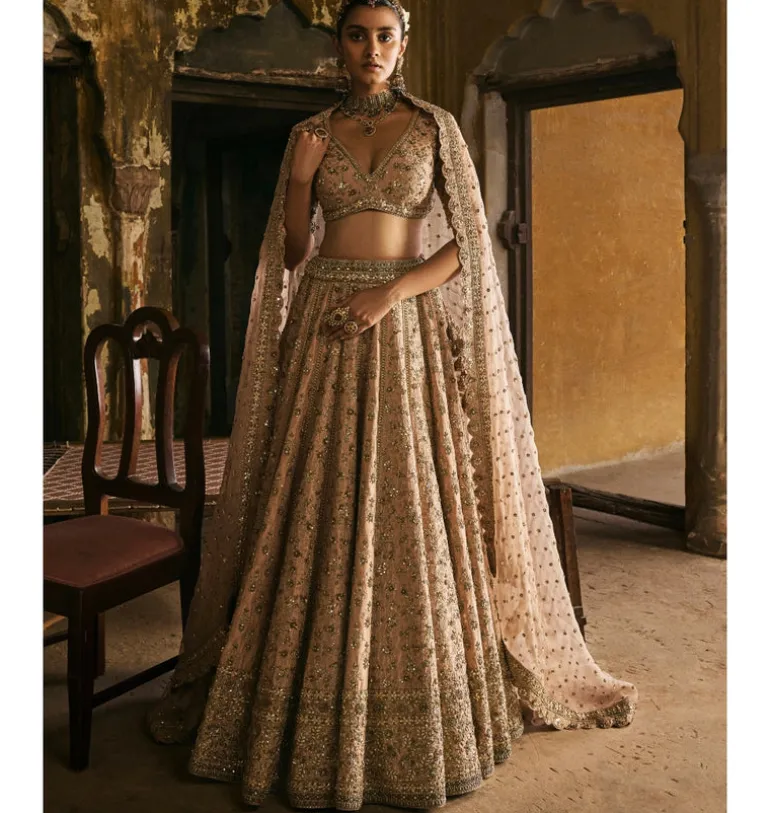 Peach Panels Lehenga Set