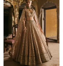 Peach Panels Lehenga Set
