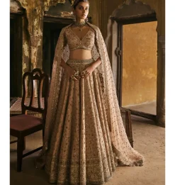 Peach Panels Lehenga Set