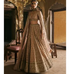Peach Panels Lehenga Set