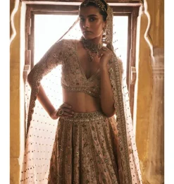 Peach Panels Lehenga Set