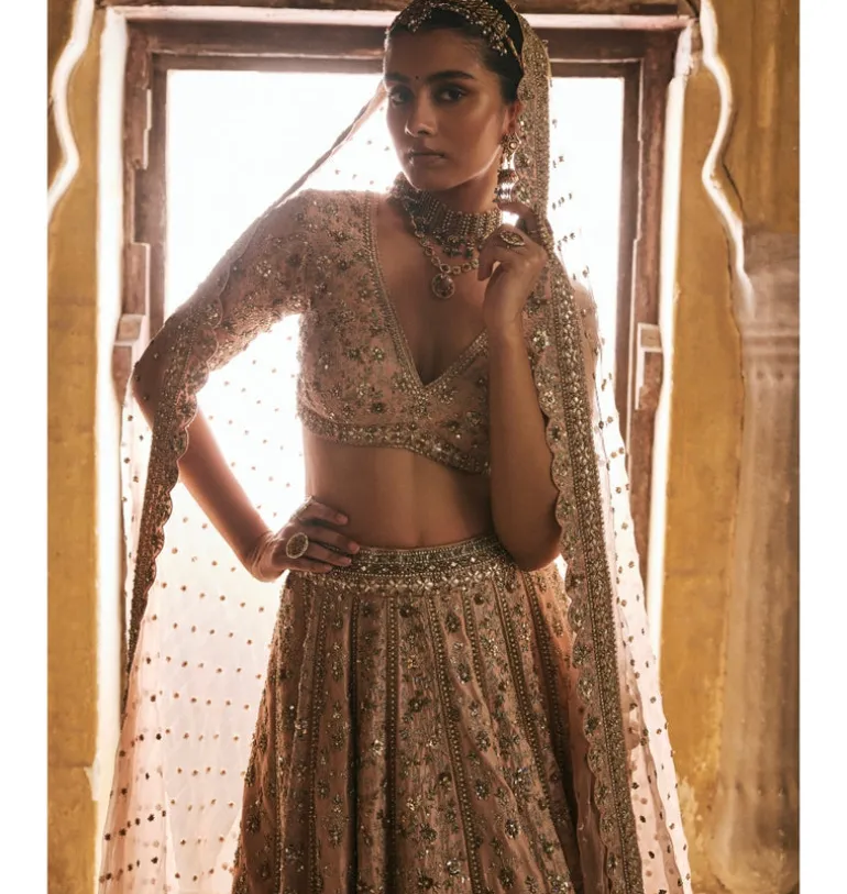 Peach Panels Lehenga Set