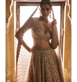 Peach Panels Lehenga Set