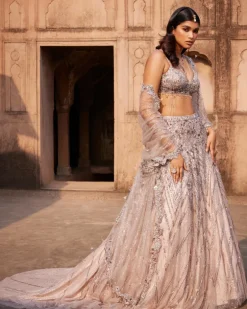 Phaenna Silver Shimmer Tulle Embroidered Lehenga Set