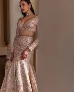Pink Fit And Flare Lehenga Set