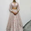 Pink Floral Jaal Lehenga