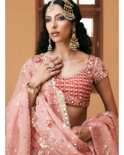 Pink Organza Embroidered Lehenga Set