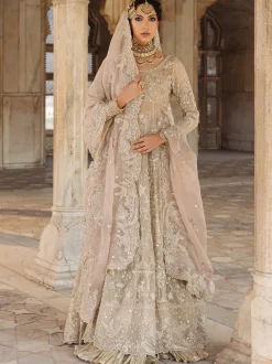 Pishwas Crushed Lehenga Set