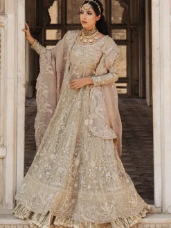 Pishwas Crushed Lehenga Set