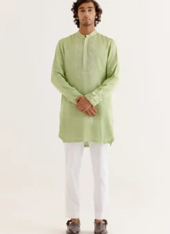 Pistachio Green Silk Satin Dori Embroidered Kurta Set