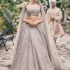 Platinum Dust Applique Embroidered Lehenga Set