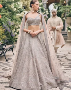 Platinum Dust Applique Embroidered Lehenga Set