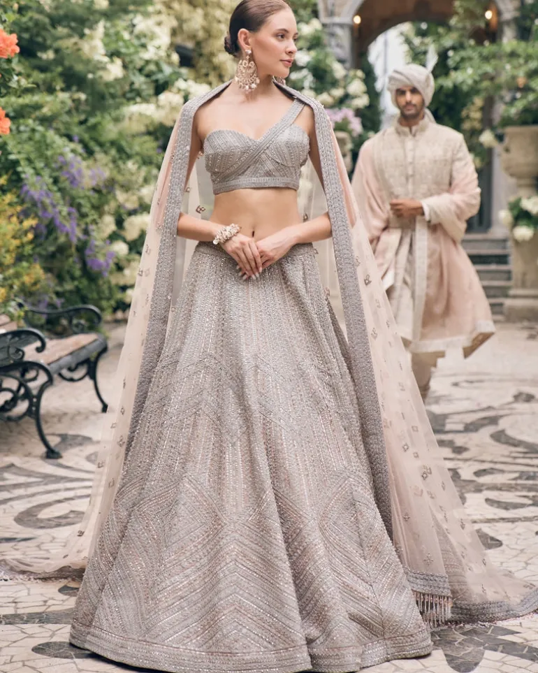 Platinum Dust Applique Embroidered Lehenga Set