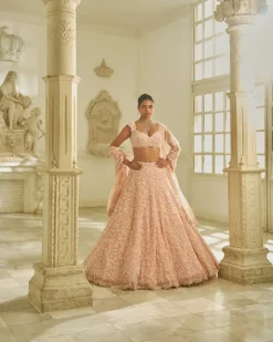 Powder Pink Floral Lehenga Set