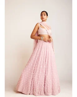 Powder Pink Flower Lehenga Set