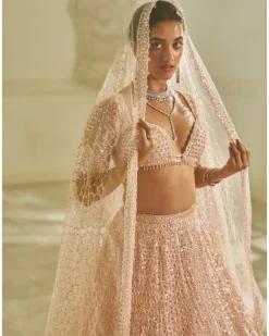 Powder Pink Sequin Lehenga Set