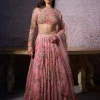 Radha Lehenga Set