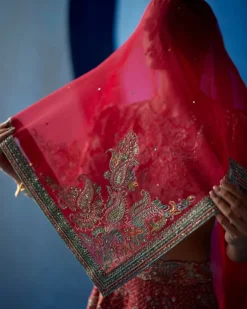 Radha Lehenga Set