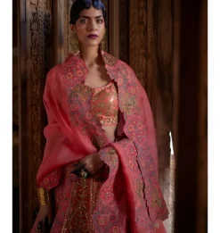 Radhika Simmer Lehenga Set