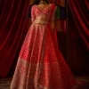 Rani Aahana Lehenga Set