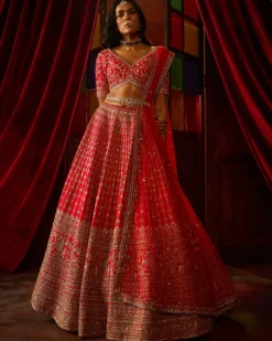 Rani Aahana Lehenga Set